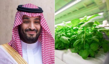 طرح شگفت انگیز جدید بن سلمان وسط بیابان/ عکس